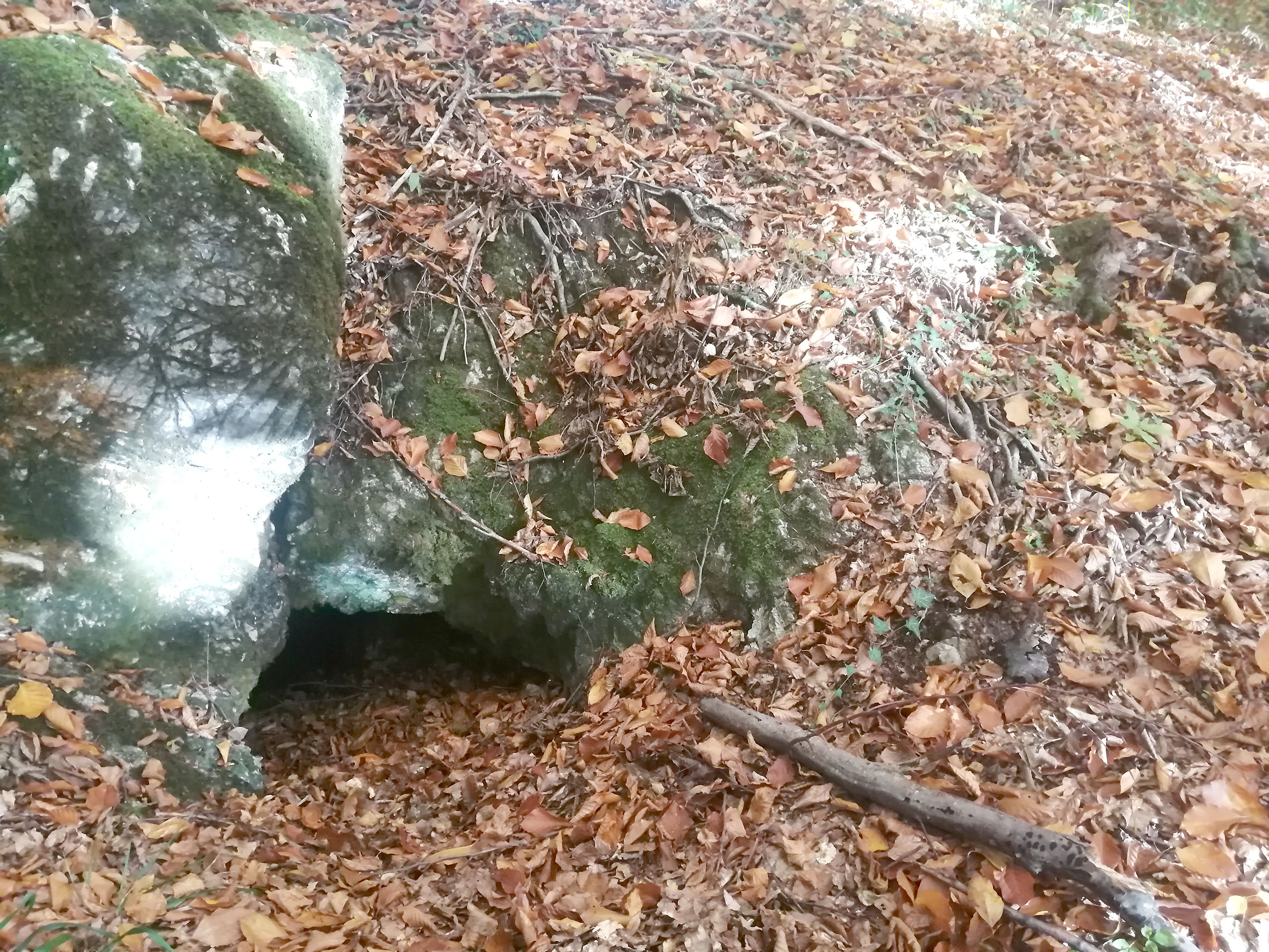 Avenul lui Negoiță - Image 1